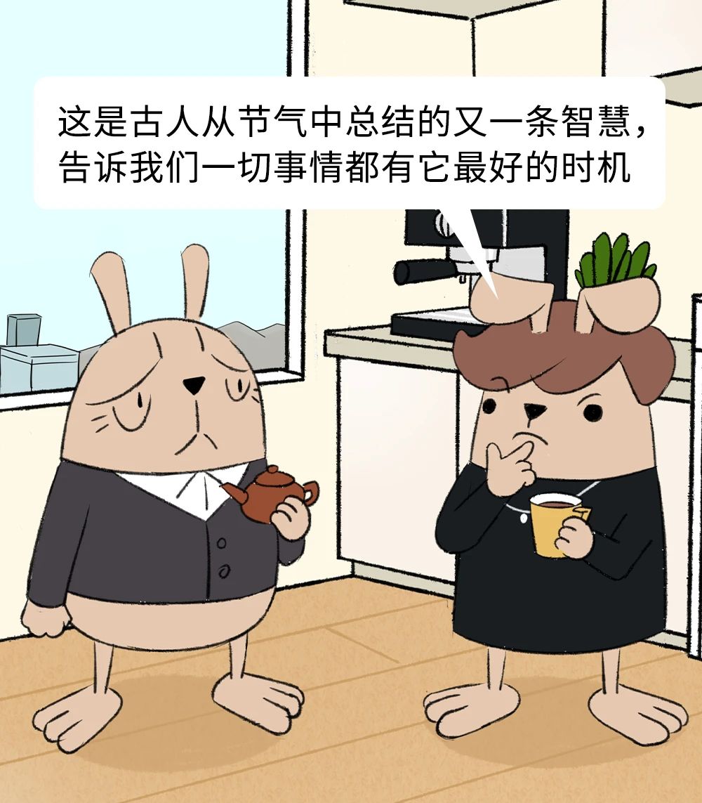 又是被老祖宗骂醒的一天2