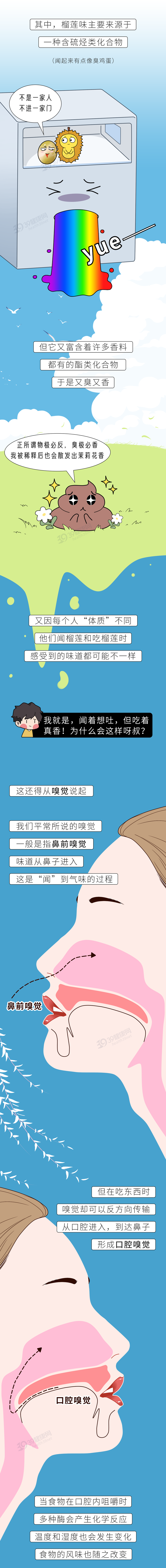 一个榴莲顶3只鸡是真的吗2