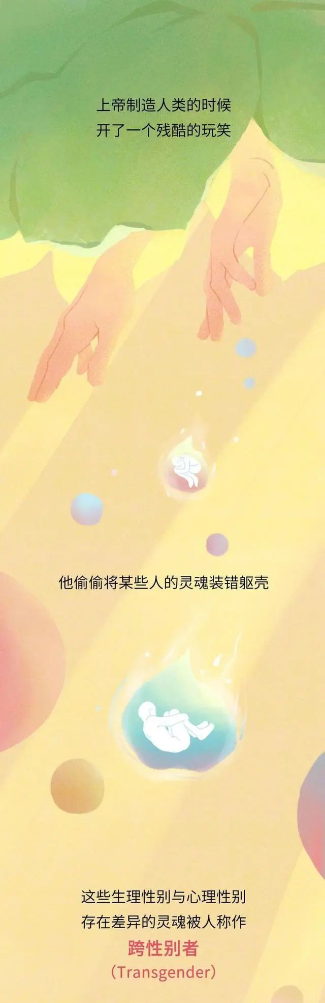 男人变成女人，需要经过怎样的“蜕变”？