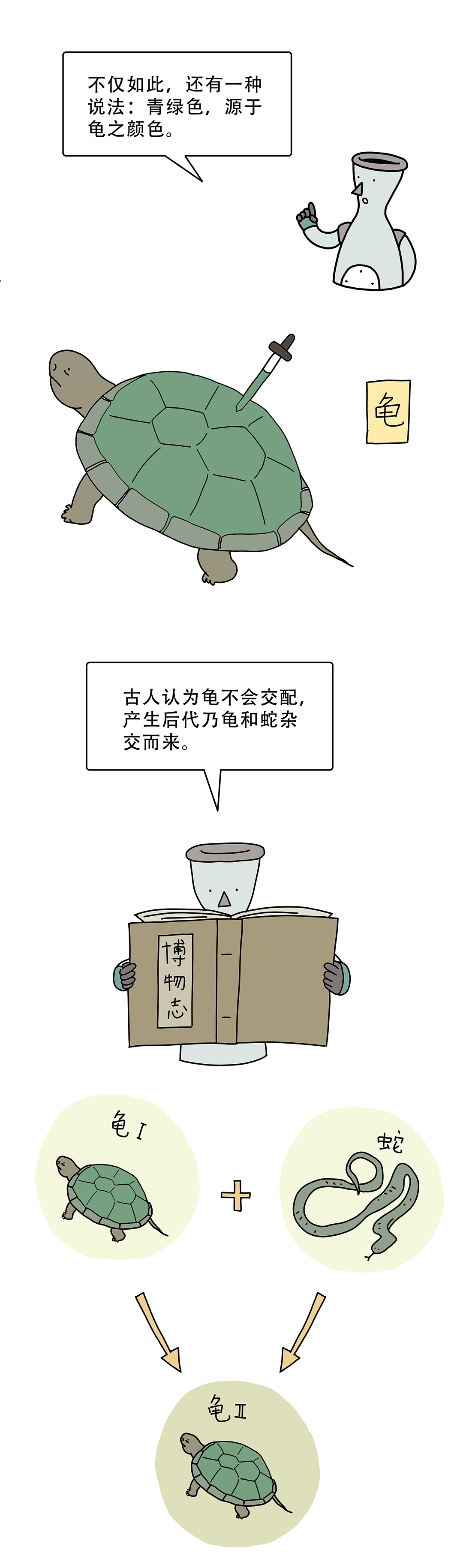 绿帽子为什么是绿的不是红的黄的蓝的3