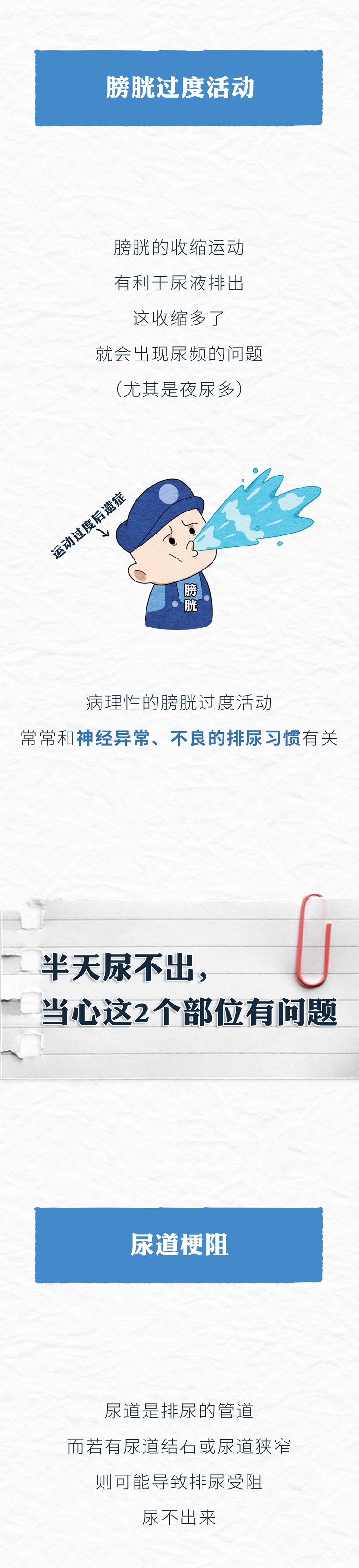 一喝水就上厕所和半天不去厕所的人哪个更健康6