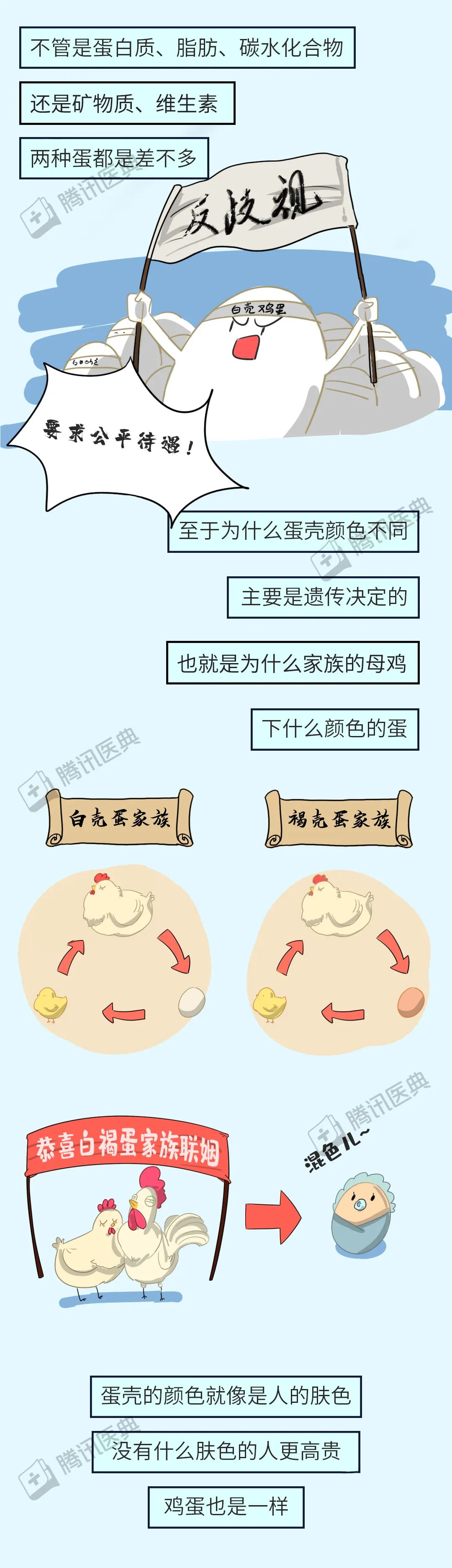 红皮鸡蛋好还是白皮鸡蛋好7