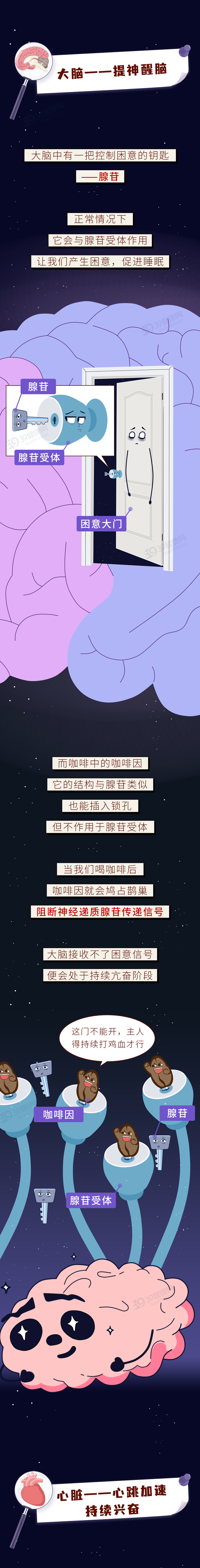 每天喝1杯咖啡身体会发生什么变化4