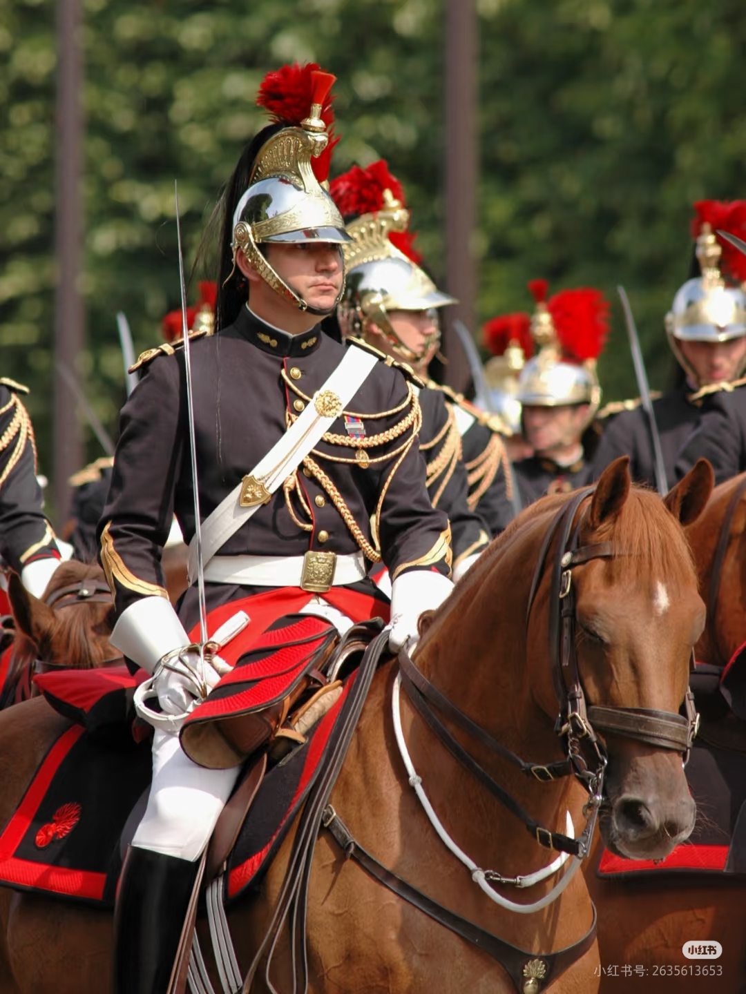 法国皇室宫庭近卫军骑兵