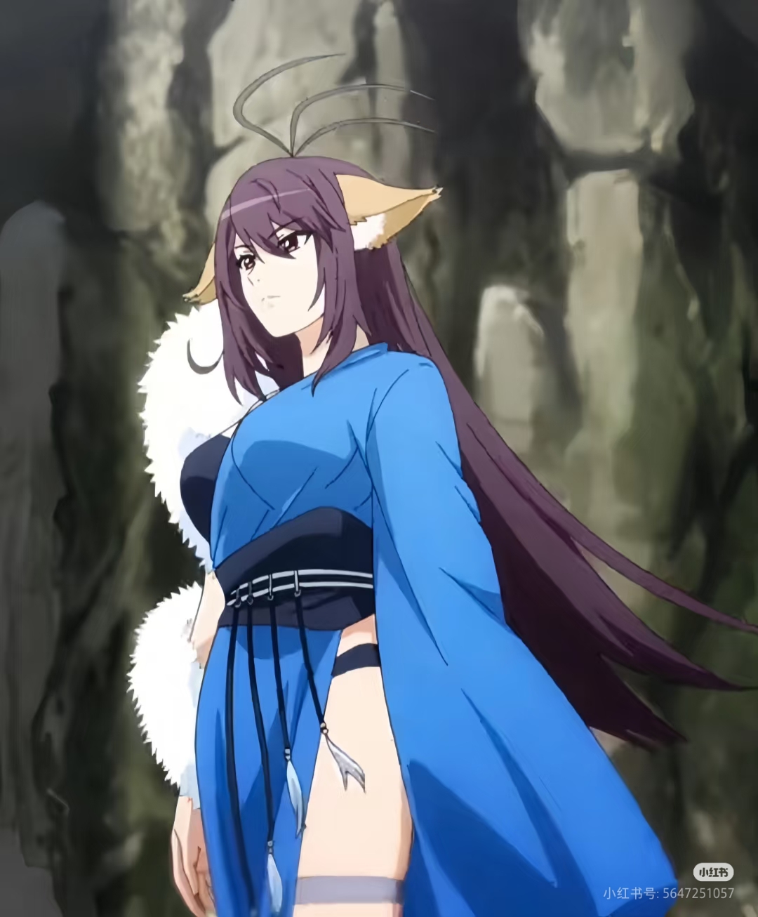 相貌衣着涂山雅雅来自于涂山狐妖一族.在姐姐涂山红红不在时,由