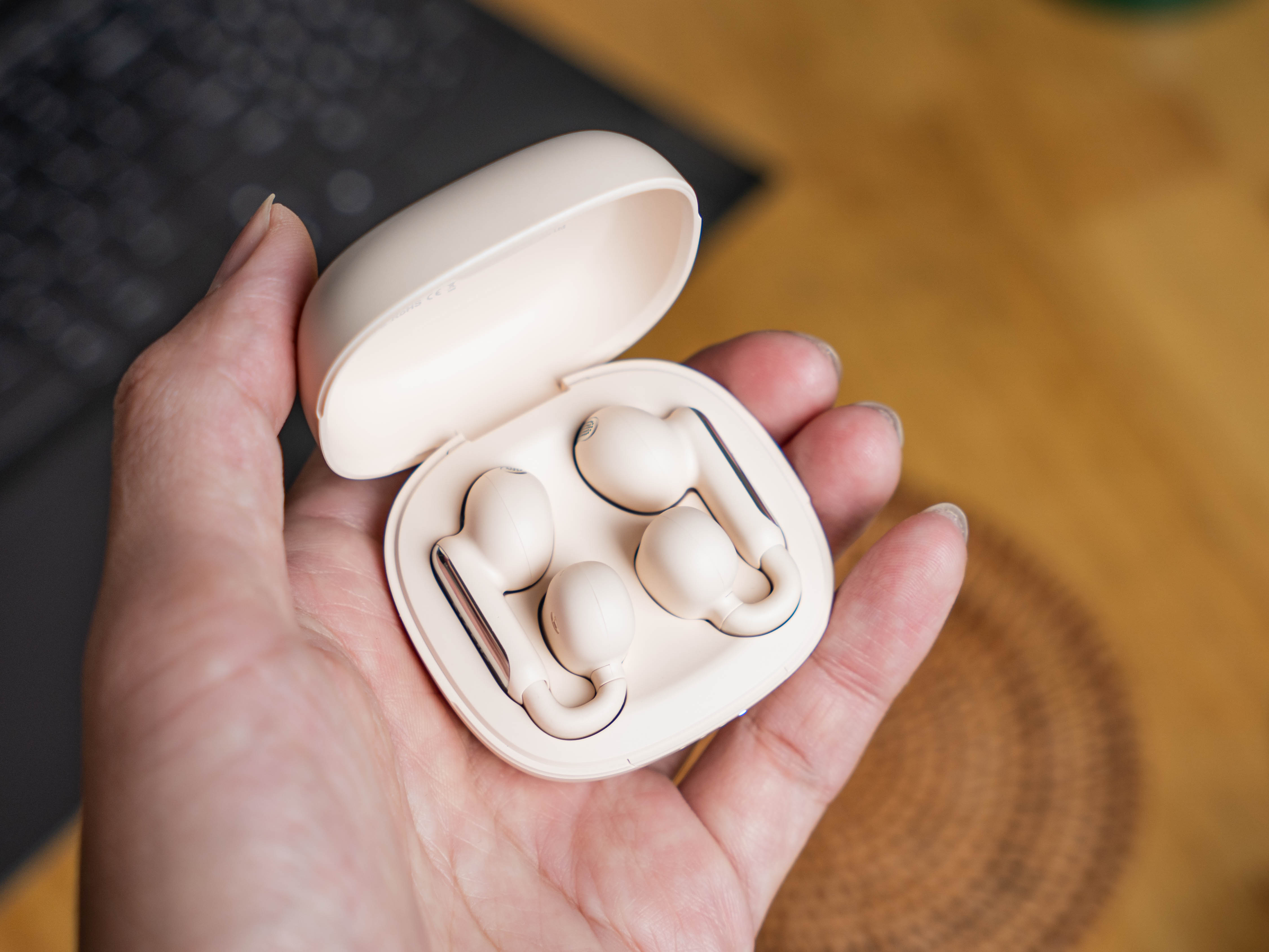 300元价位标杆产品，南卡Clip Pro