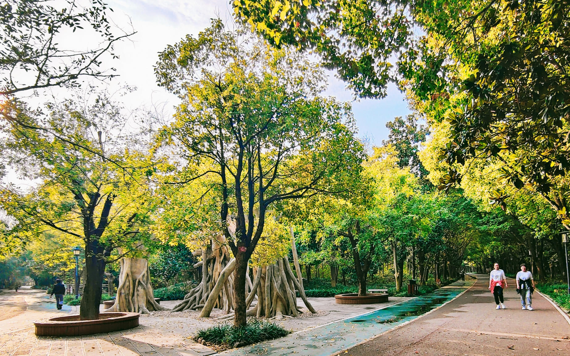 禹州森林植物园地图图片