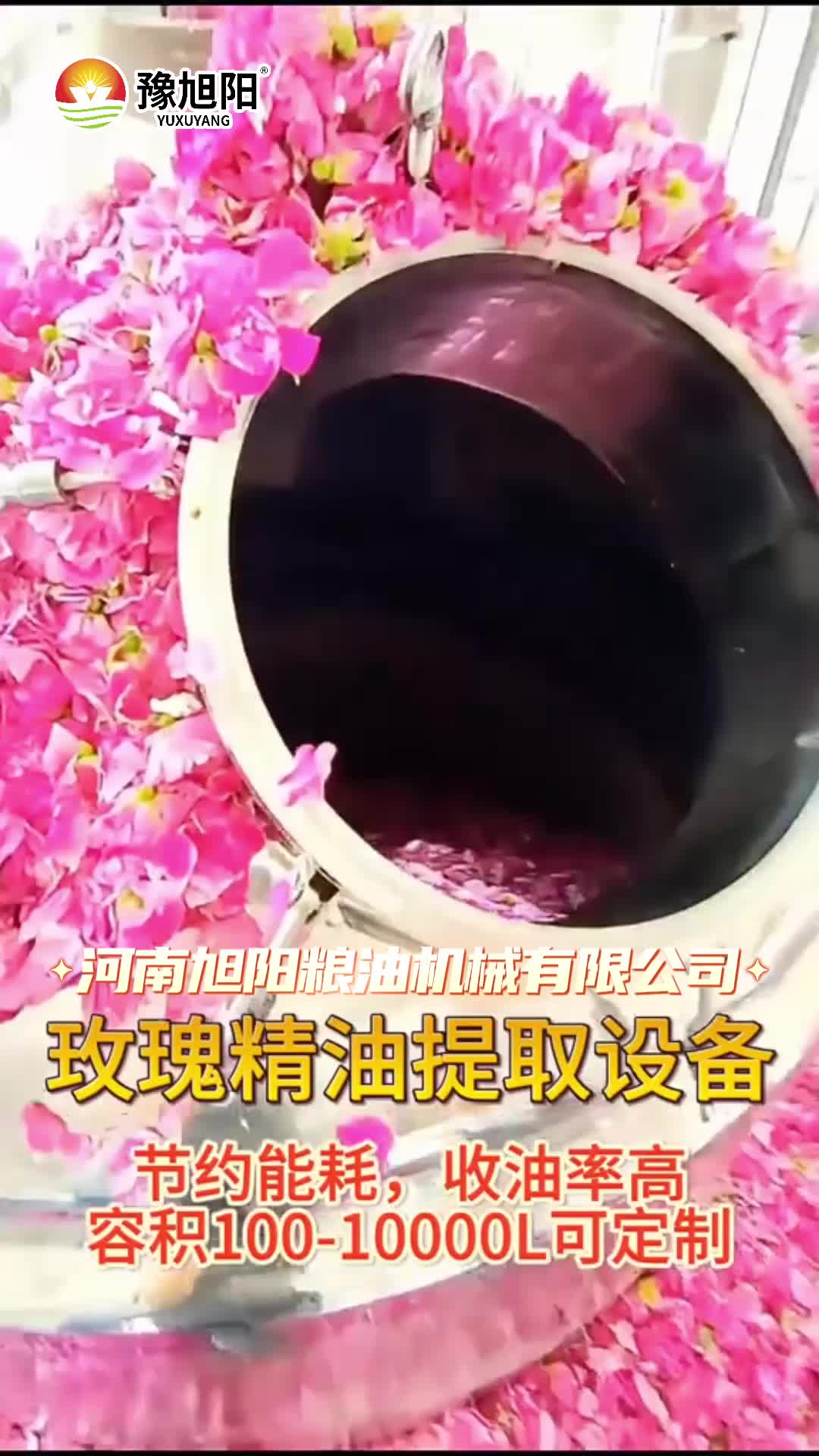 玫瑰精油提取设备