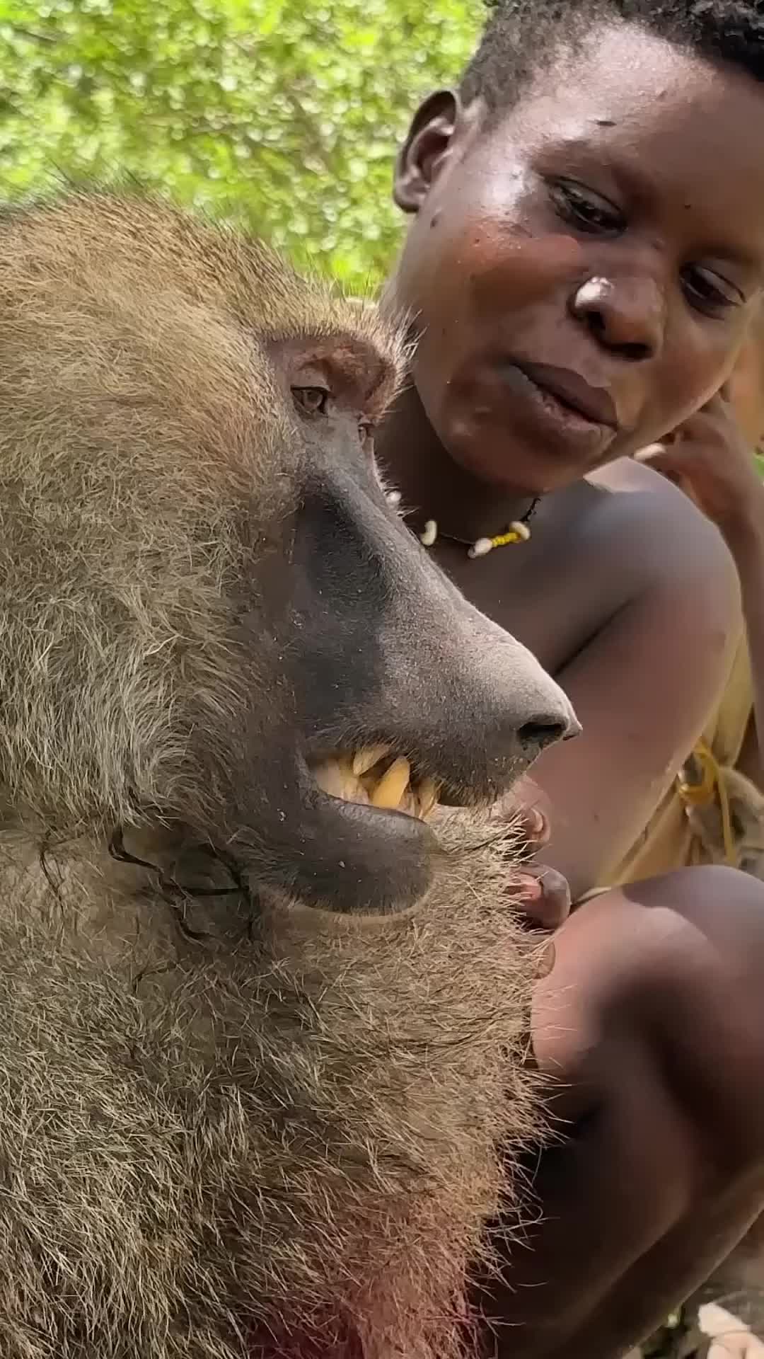 谁告诉你狒狒要这样拿的