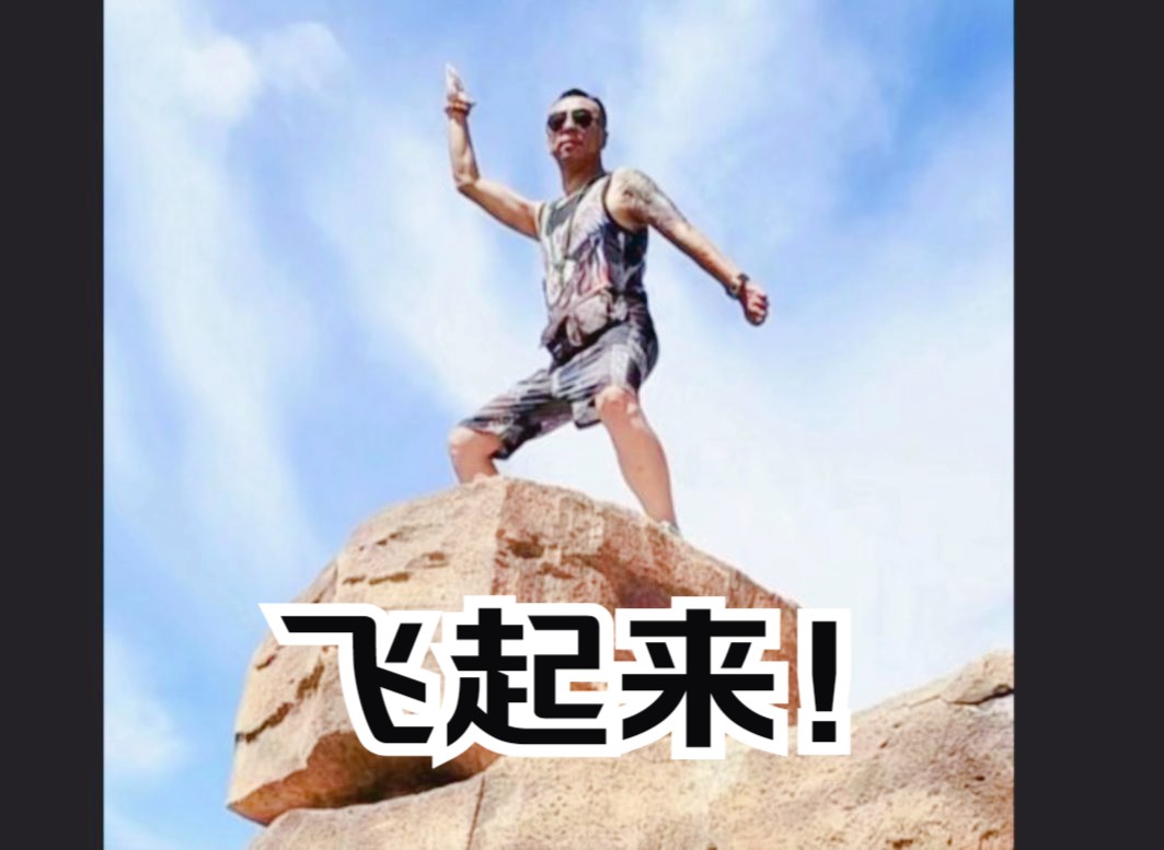 效率至上的生存法则信天翁每公里飞行仅耗能 0