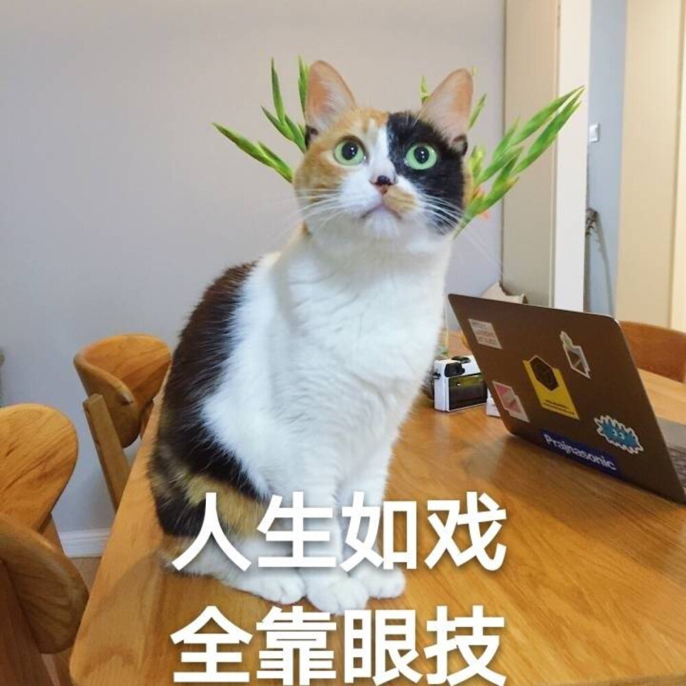 收官之作引发期待 三国策略游戏如何续写传奇