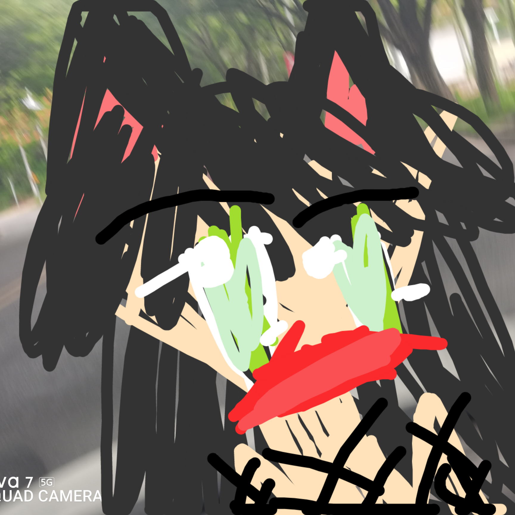 芙兰