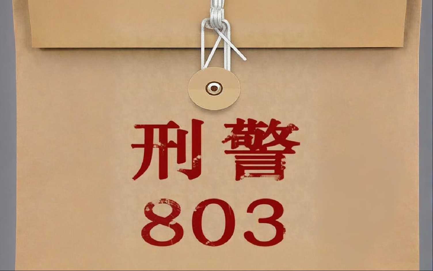 803刑警第二季演员表图片