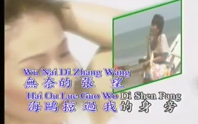 【龙飘飘】等你回航-国语-流行