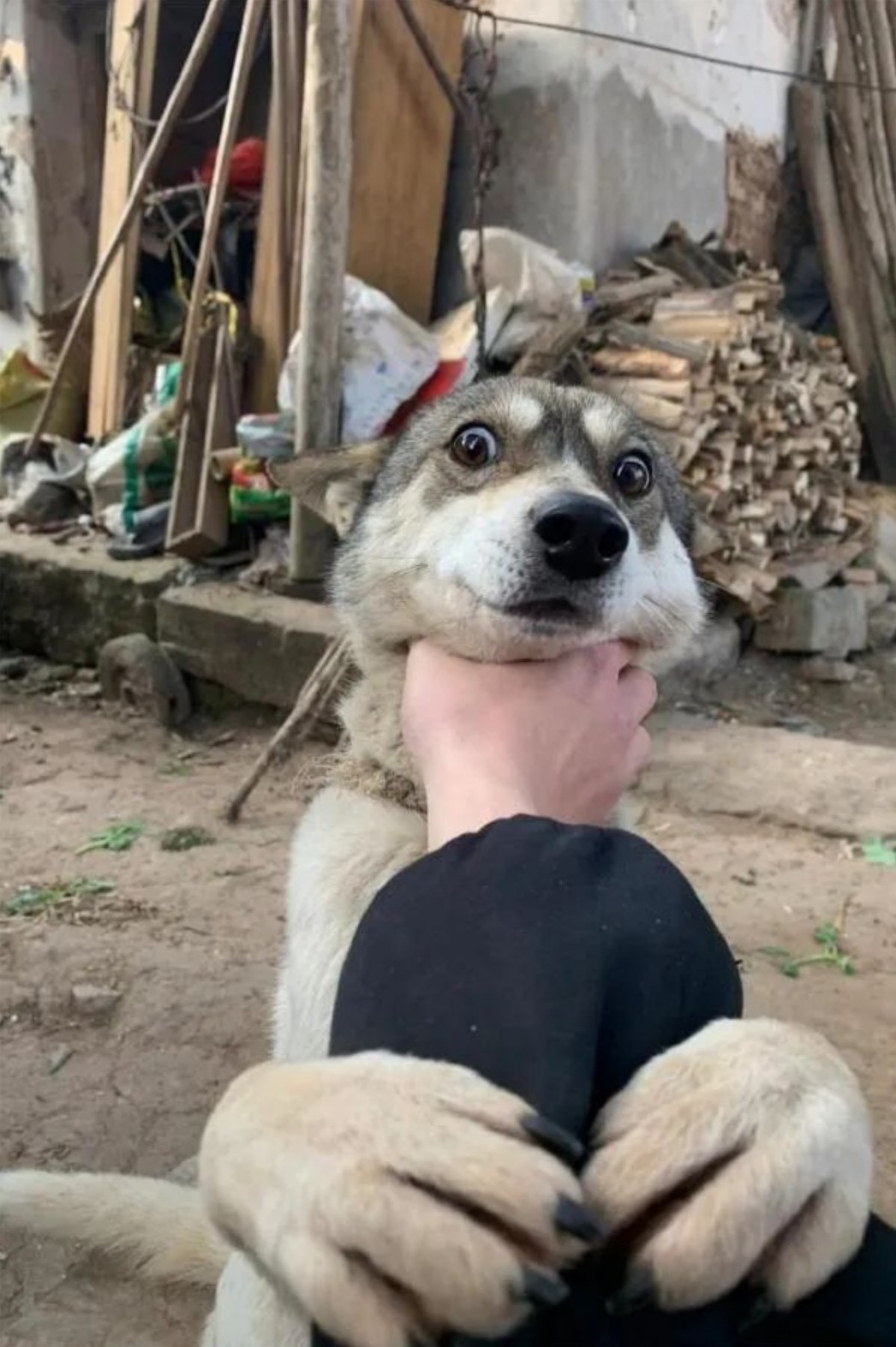 相亲对象不负责的囧图