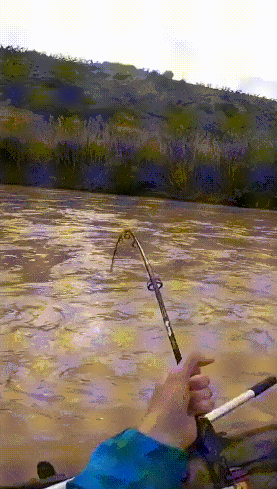 544_960竖版 竖屏gif 动态图 动图