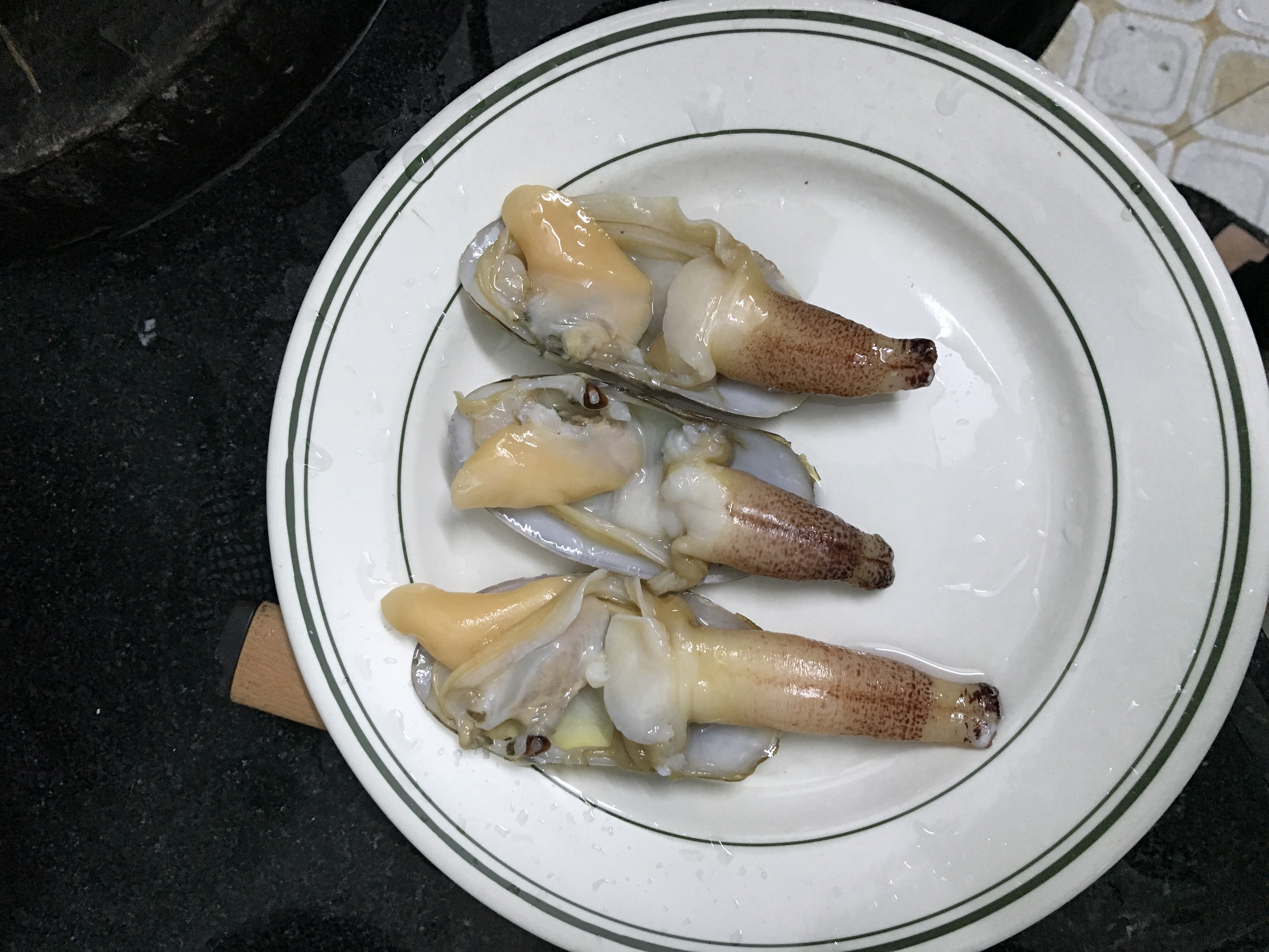 【认真做鱼系列76】象拔蚌 - acfun弹幕视频网 - 认真你就输啦 (?ω?