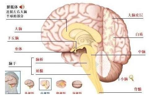 ω?)ノ- ( ゜- ゜)つロ