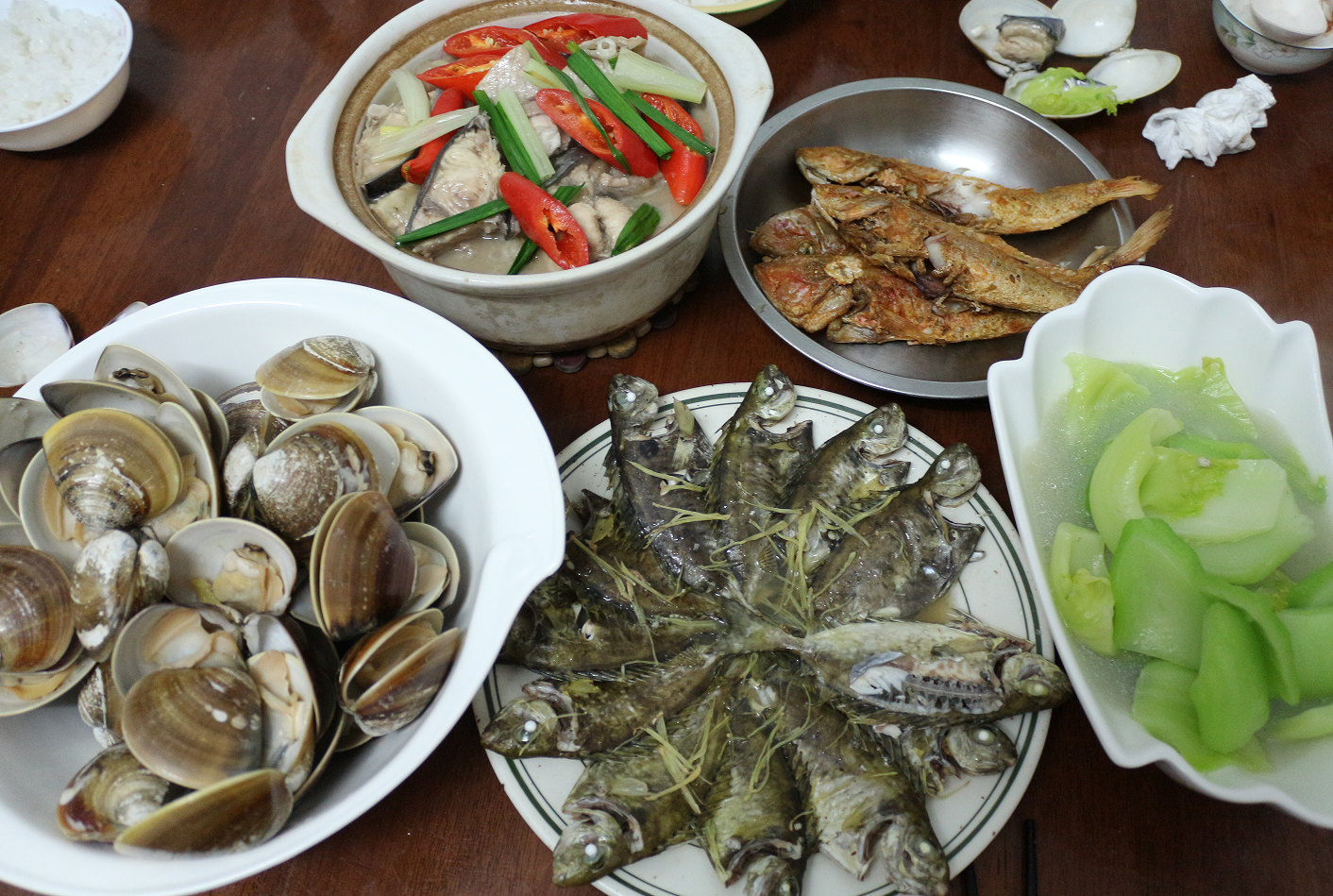 【认真做鱼系列87】芒鱼