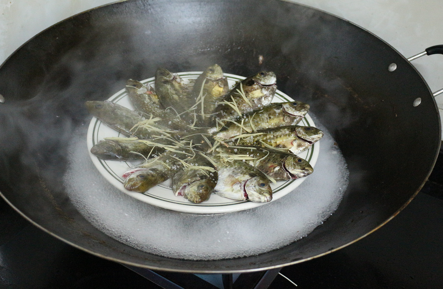 【认真做鱼系列87】芒鱼