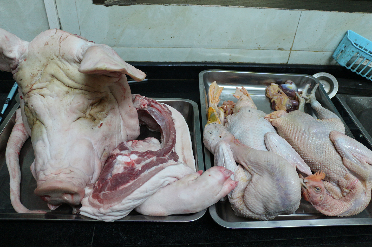 【认真做鱼系列88】海鳗(油锥)