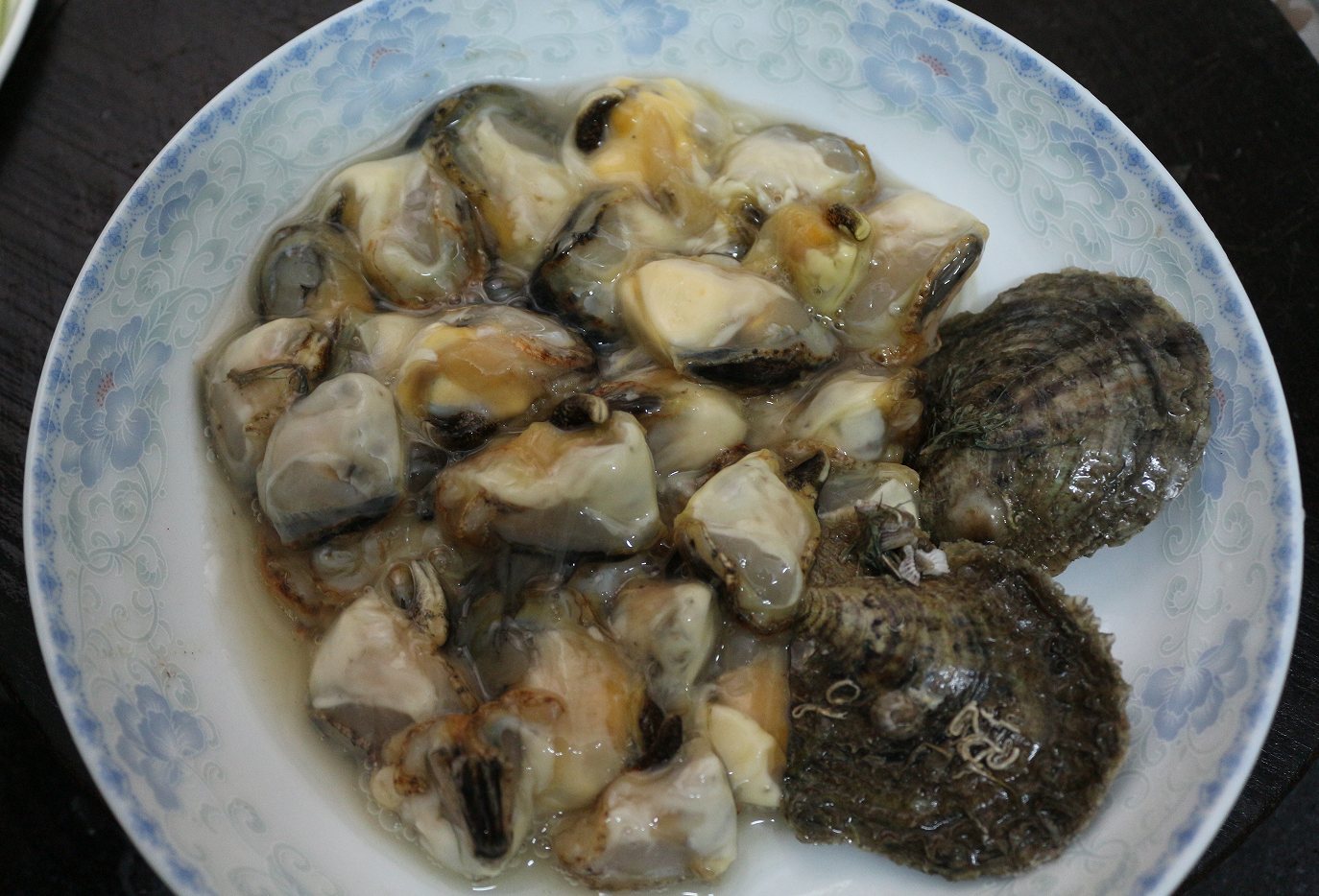 认真做鱼系列90马氏珠母贝珍珠螺