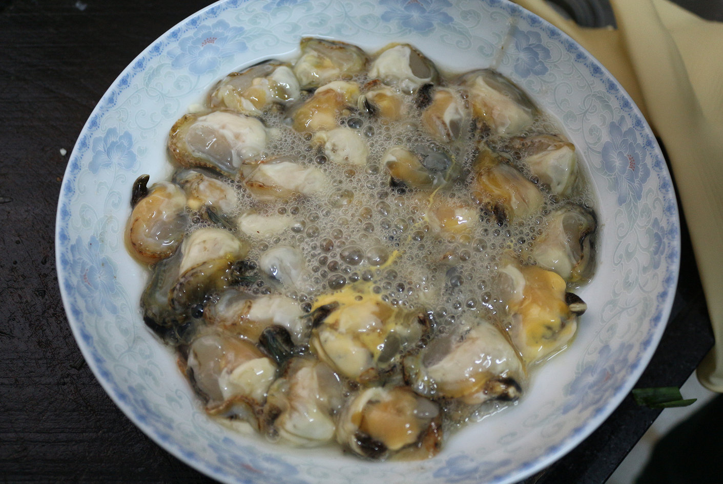 认真做鱼系列90马氏珠母贝珍珠螺