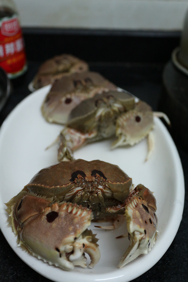 认真做鱼系列93逍遥馒头蟹