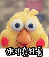 表情包系列关于鹦鹉兄弟系列表情包