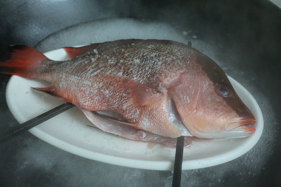认真做鱼系列105川纹笛鲷