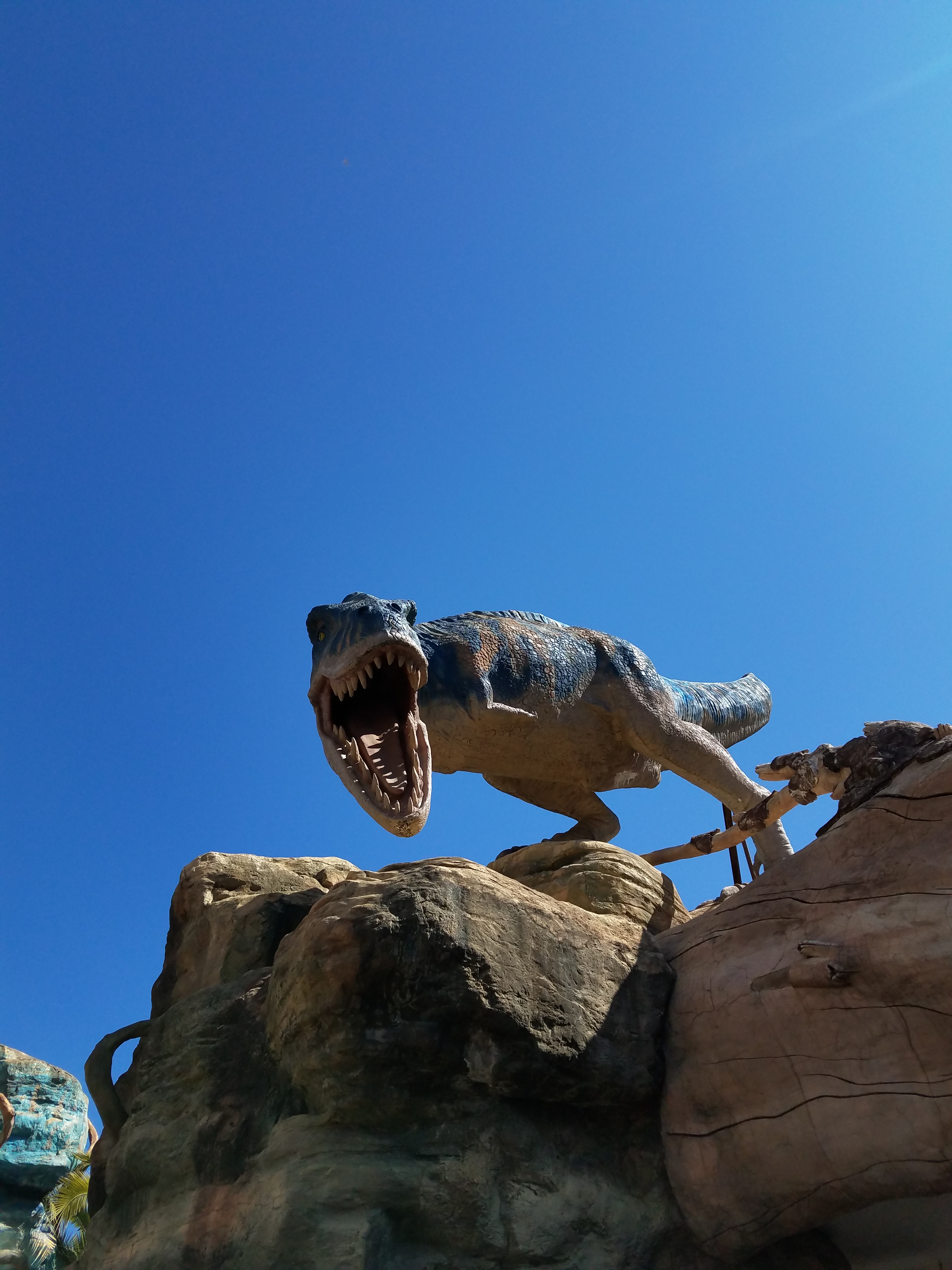 圆儿时梦——昆明行纪·禄丰恐龙谷篇