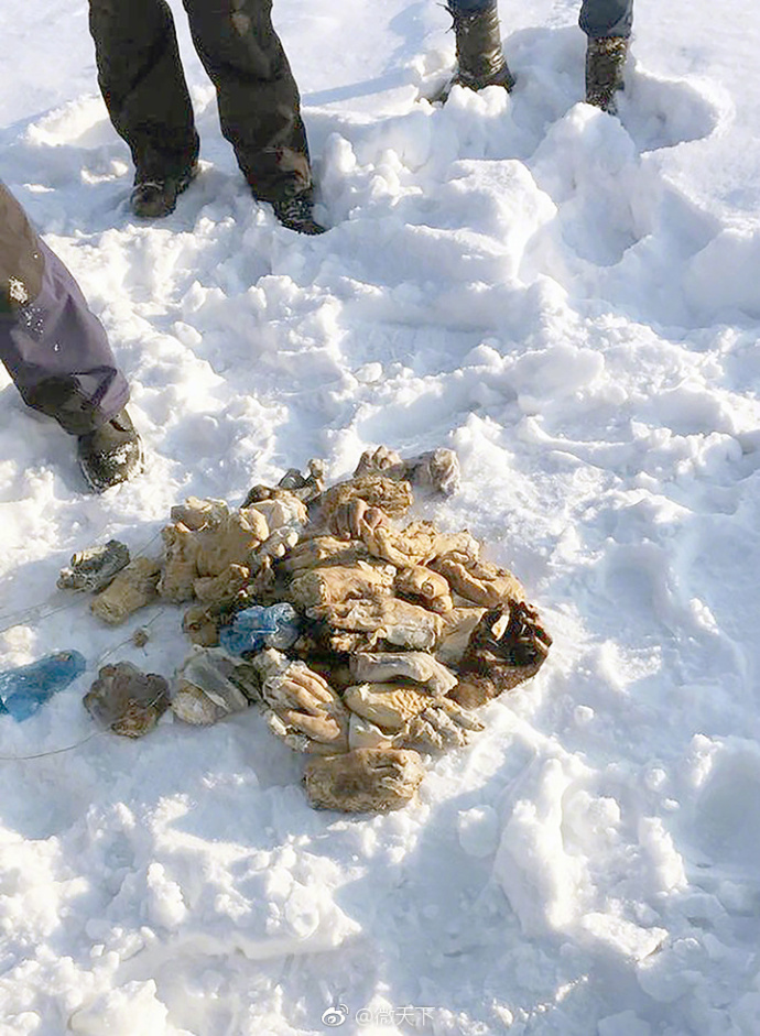 俄罗斯潜水员在阿穆尔河发现一个袋子…拎上来打开一看,剁了的26双手