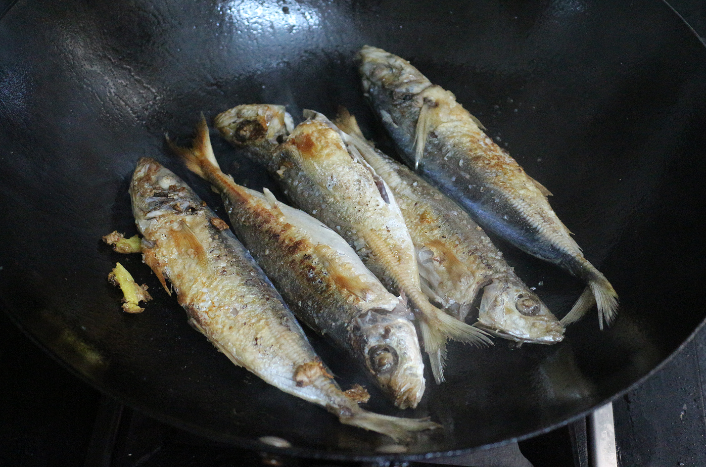 【认真做鱼系列107】翘嘴鮊(淡水)