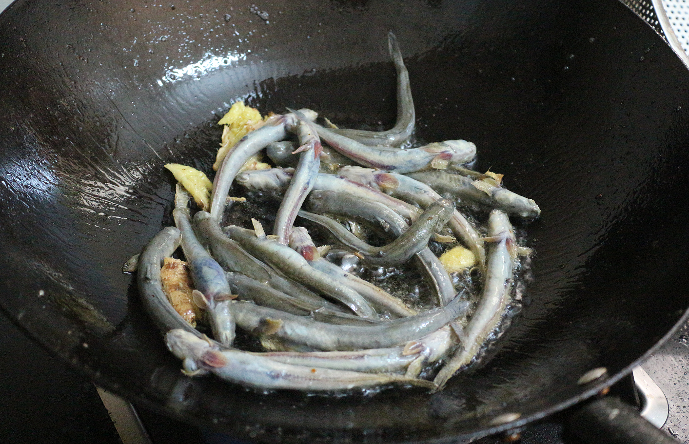 【认真做鱼系列109】青弹涂鱼