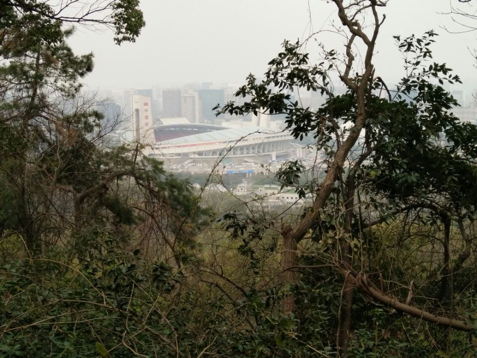 烟峙吴山,雾锁西湖—3月杭州赏春记1