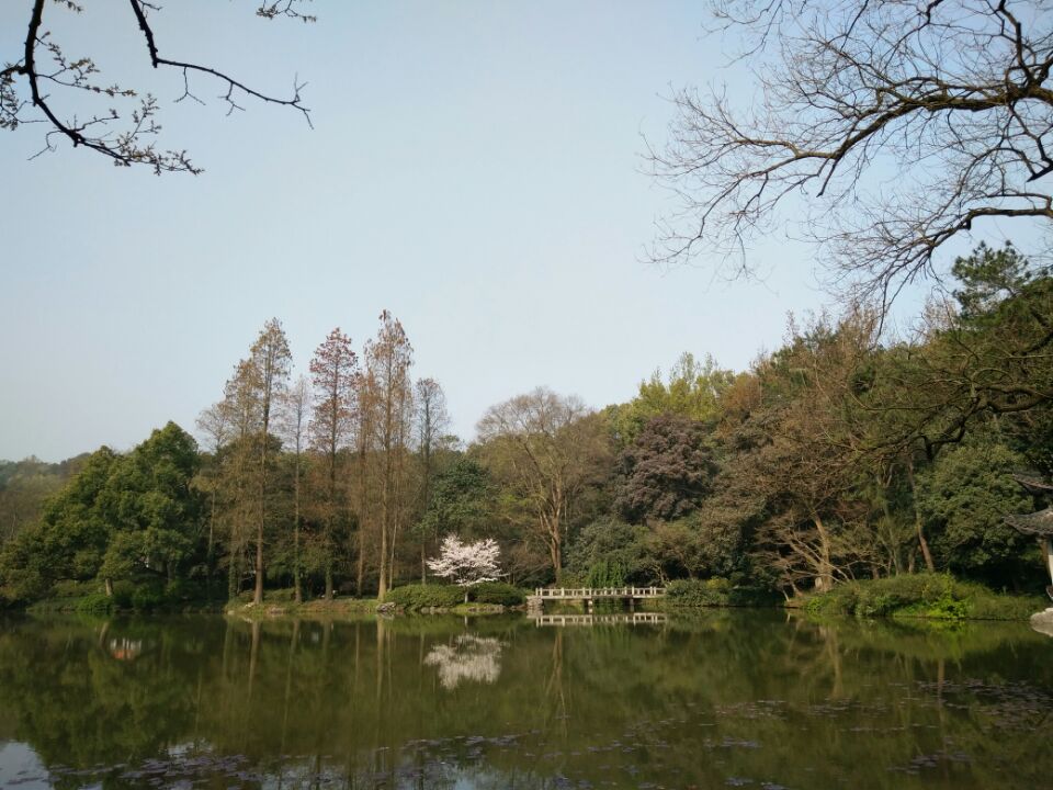 煙峙吳山,霧鎖西湖——3月杭州賞春記2