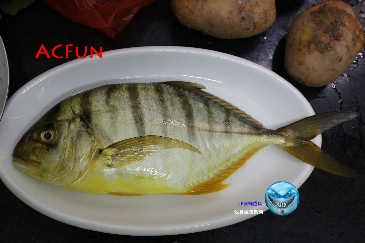 黄鹂无齿鲹,本地叫黄金鲹.不常见又可以有大胆的想法了.蒸了他.