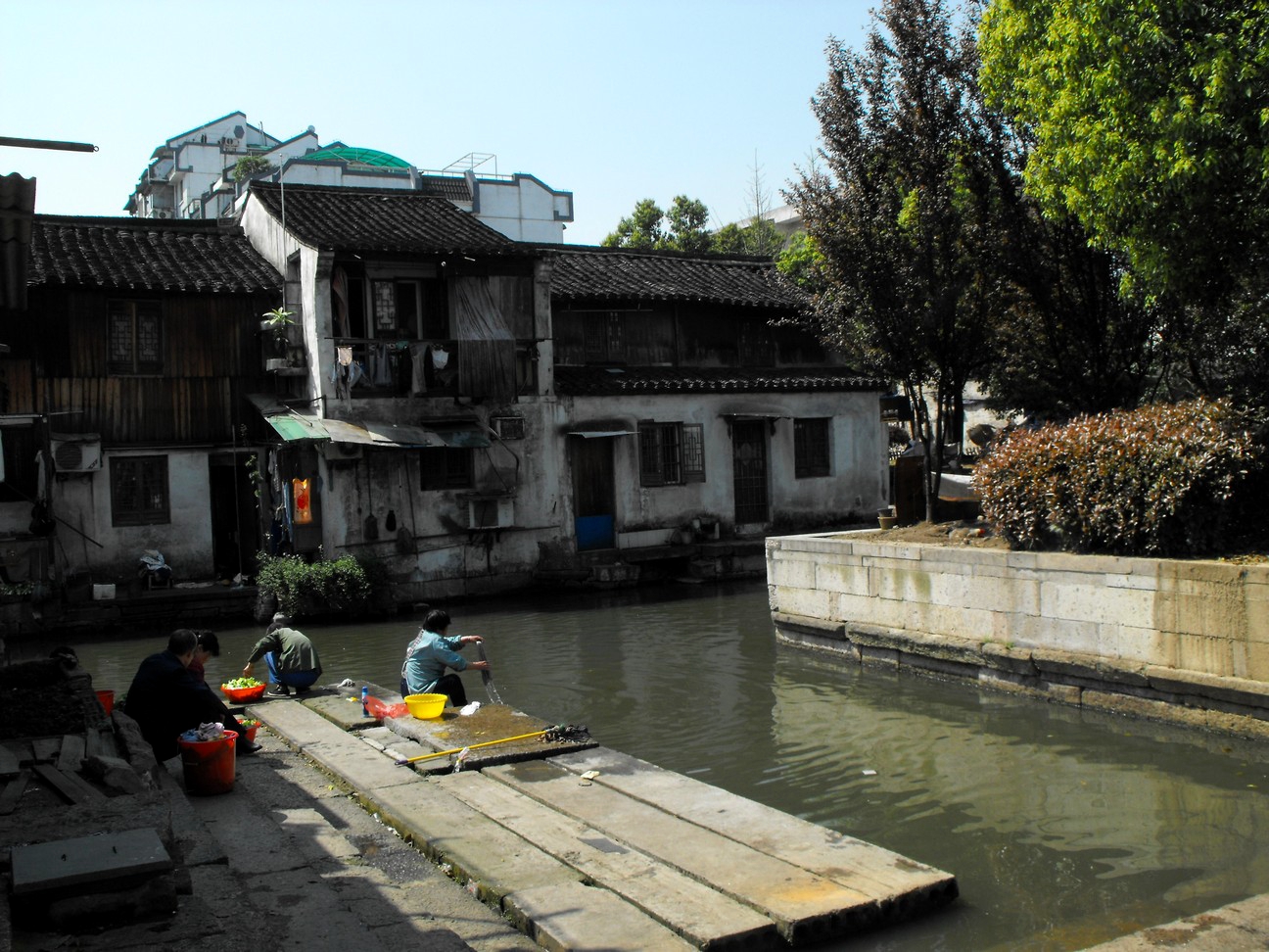 老照片绍兴水乡