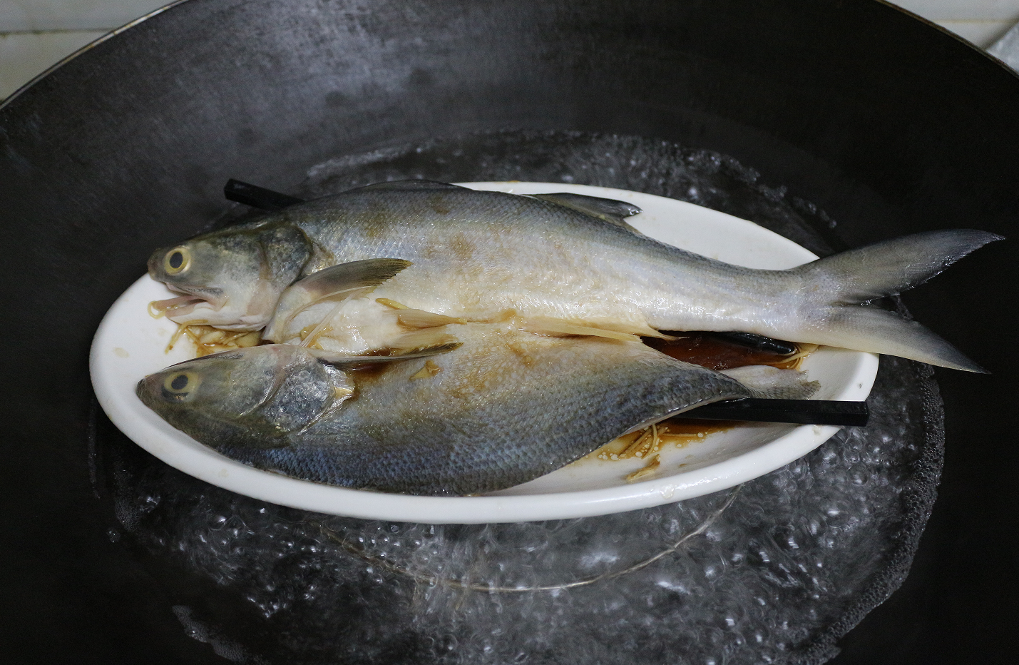 【认真做鱼系列123】四指马鲅(马友)