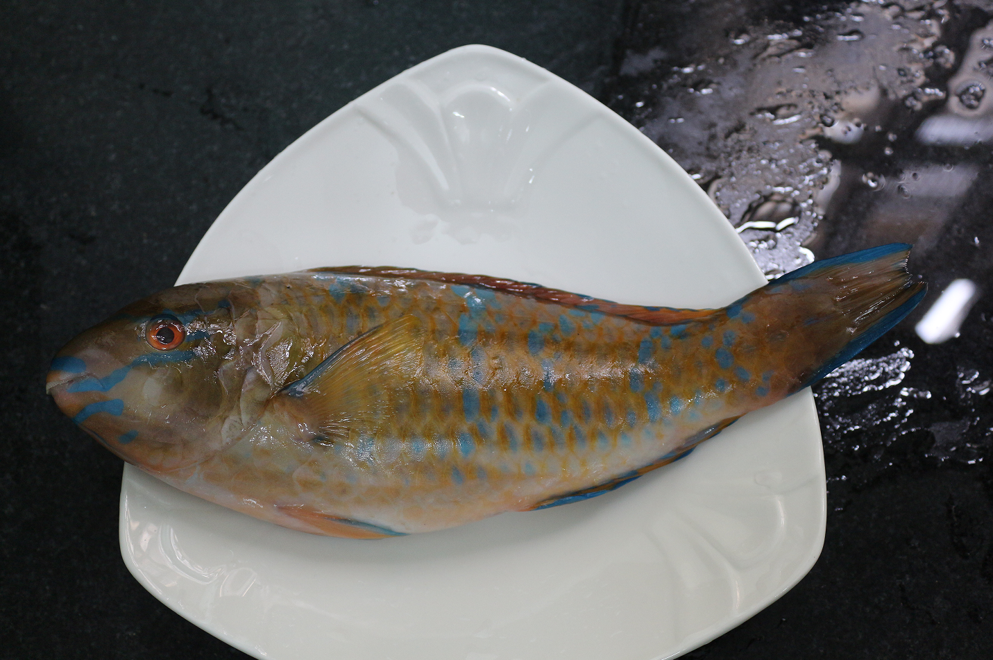 【认真做鱼系列124】什么?好多人在玩翔?还玩得好开心?