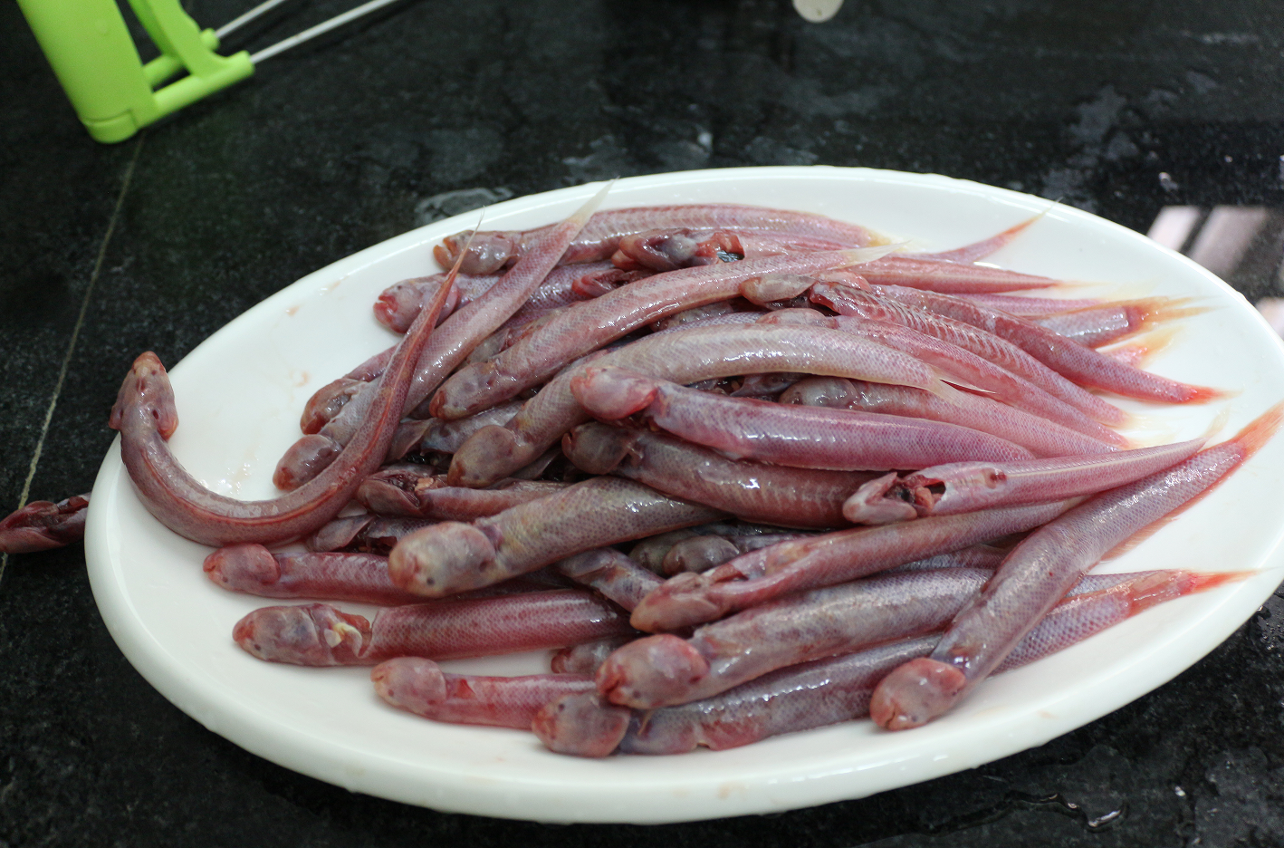 狼牙虾虎鱼照片图片