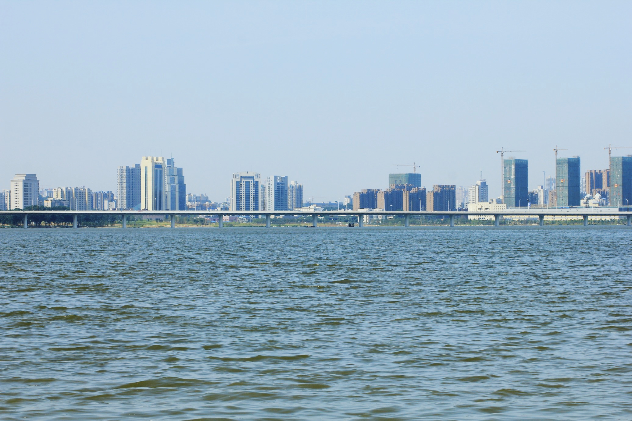 武汉沙湖是位于武昌的一个较大的湖泊这里有成片的荷花