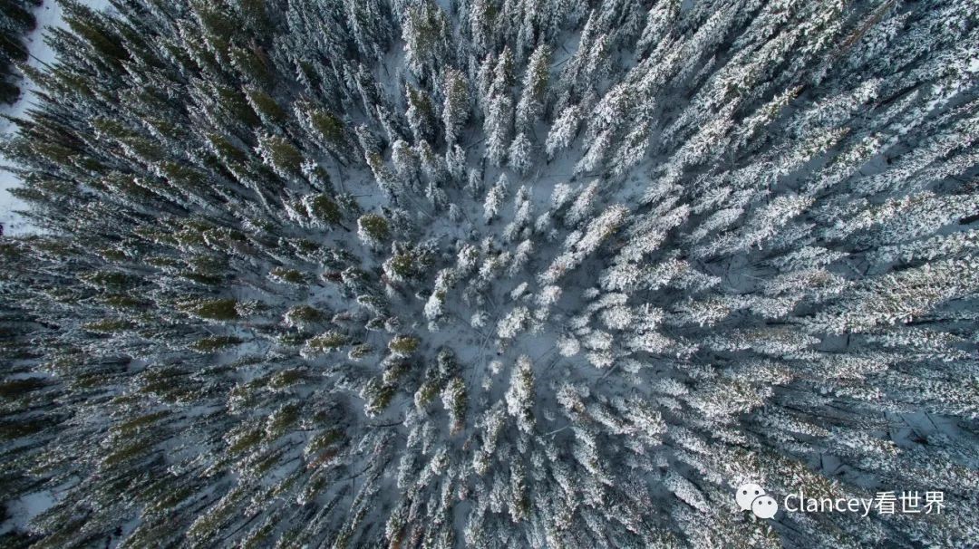 世界杯之外的俄罗斯,了解一下?