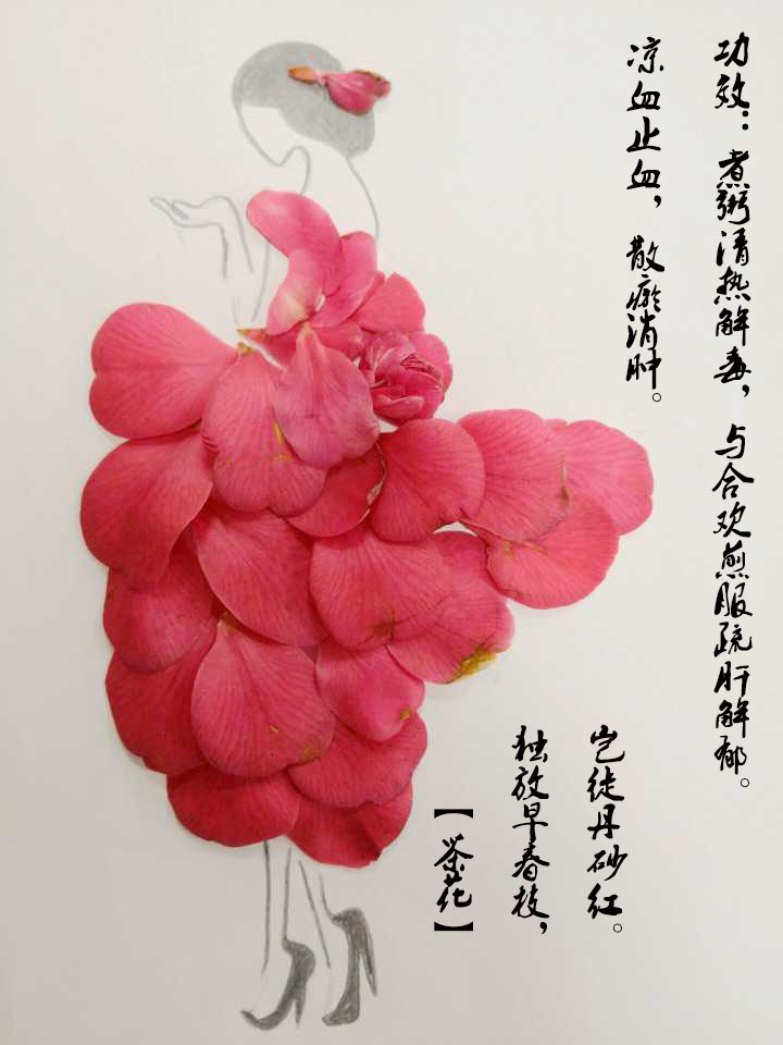 国风中草药花瓣作画美爆了煮粥泡茶吟诗中医药学博大精深