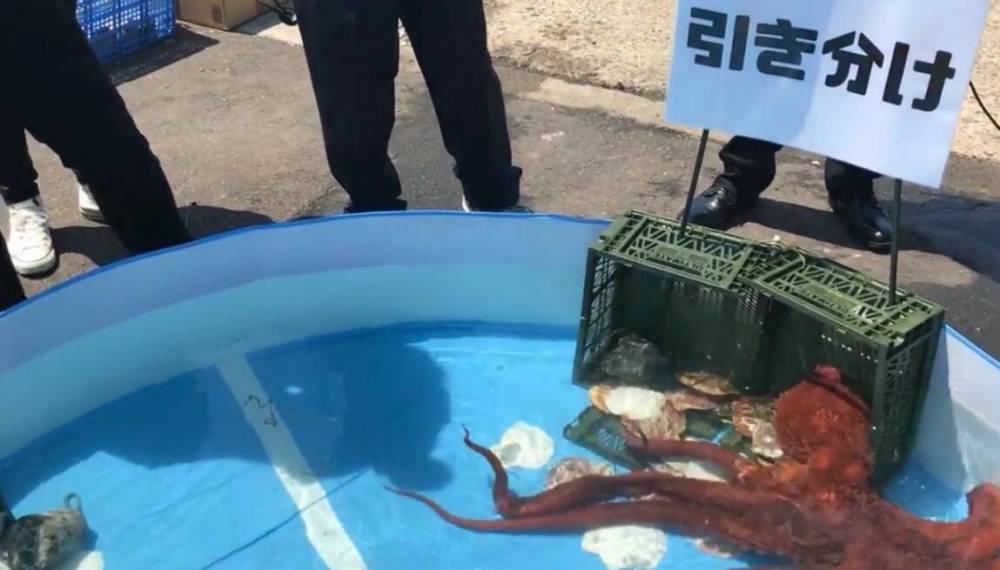 日本章鱼哥被煮了!曾预测对日本小组赛三场结果