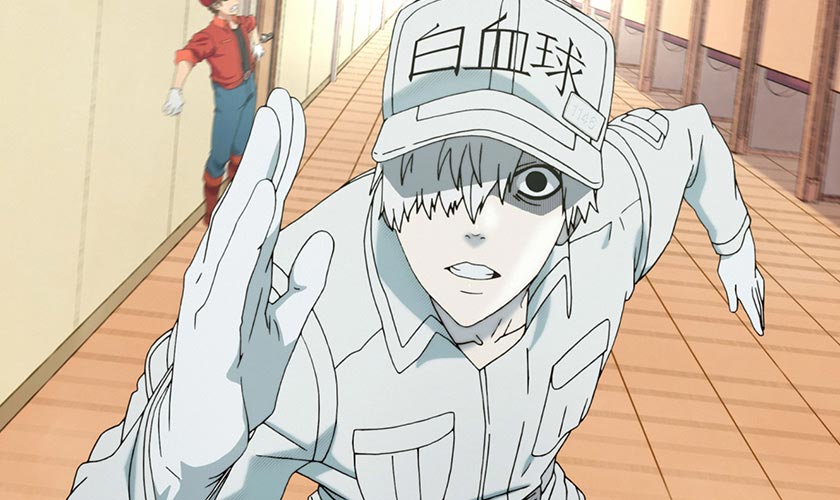 七月新番《工作细胞》开播 血小板变天真萌妹