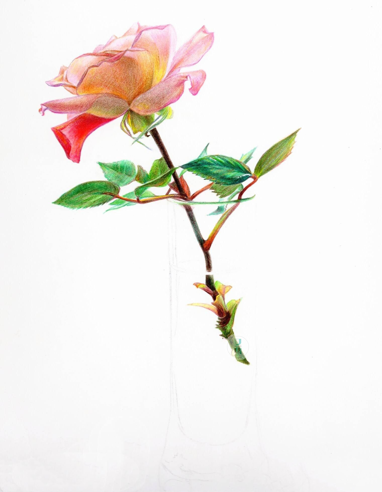 彩铅高清无码▽的保姆级教程大雾是教程没错了