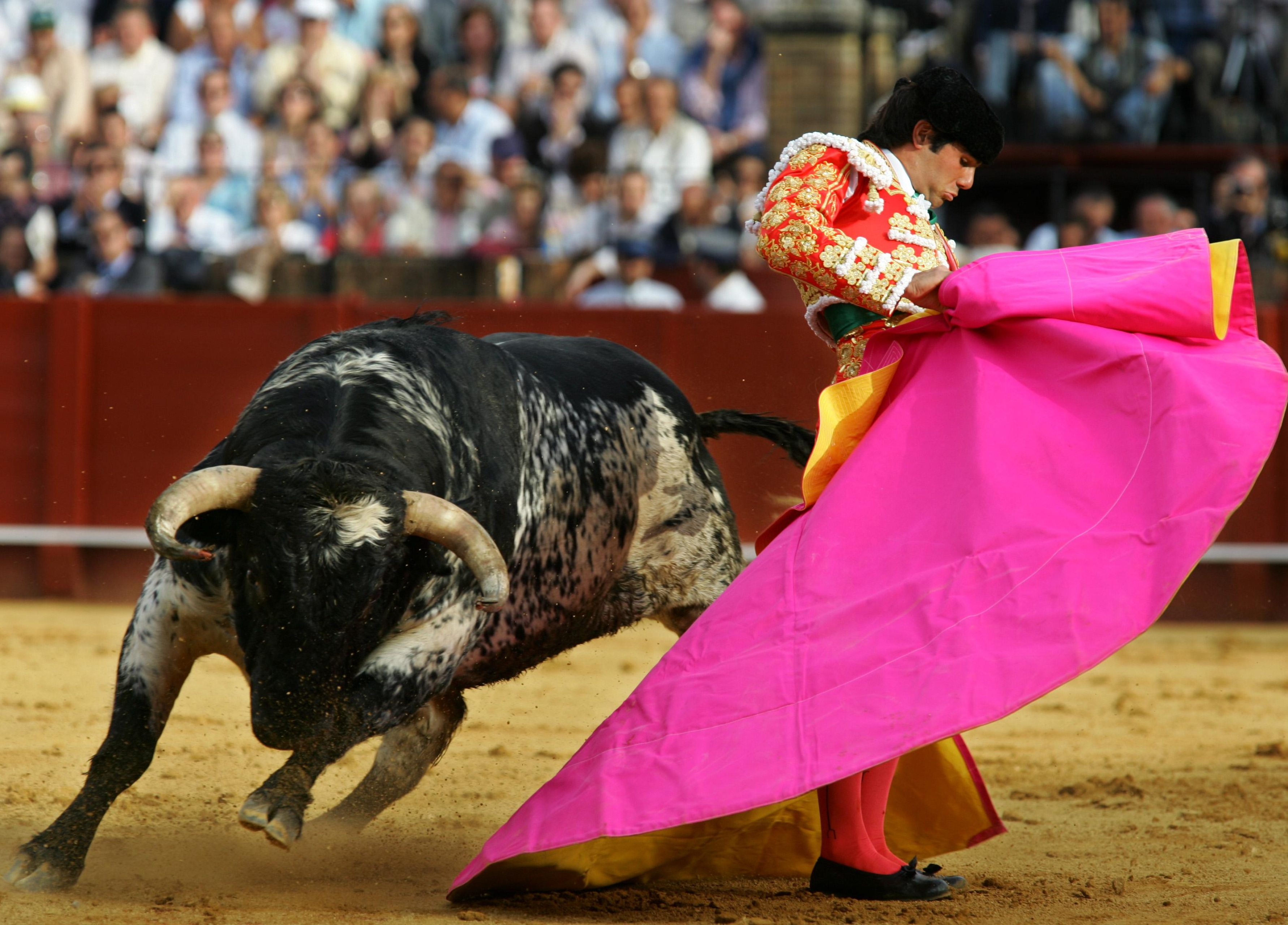 抱憾俄罗斯的斗牛士2