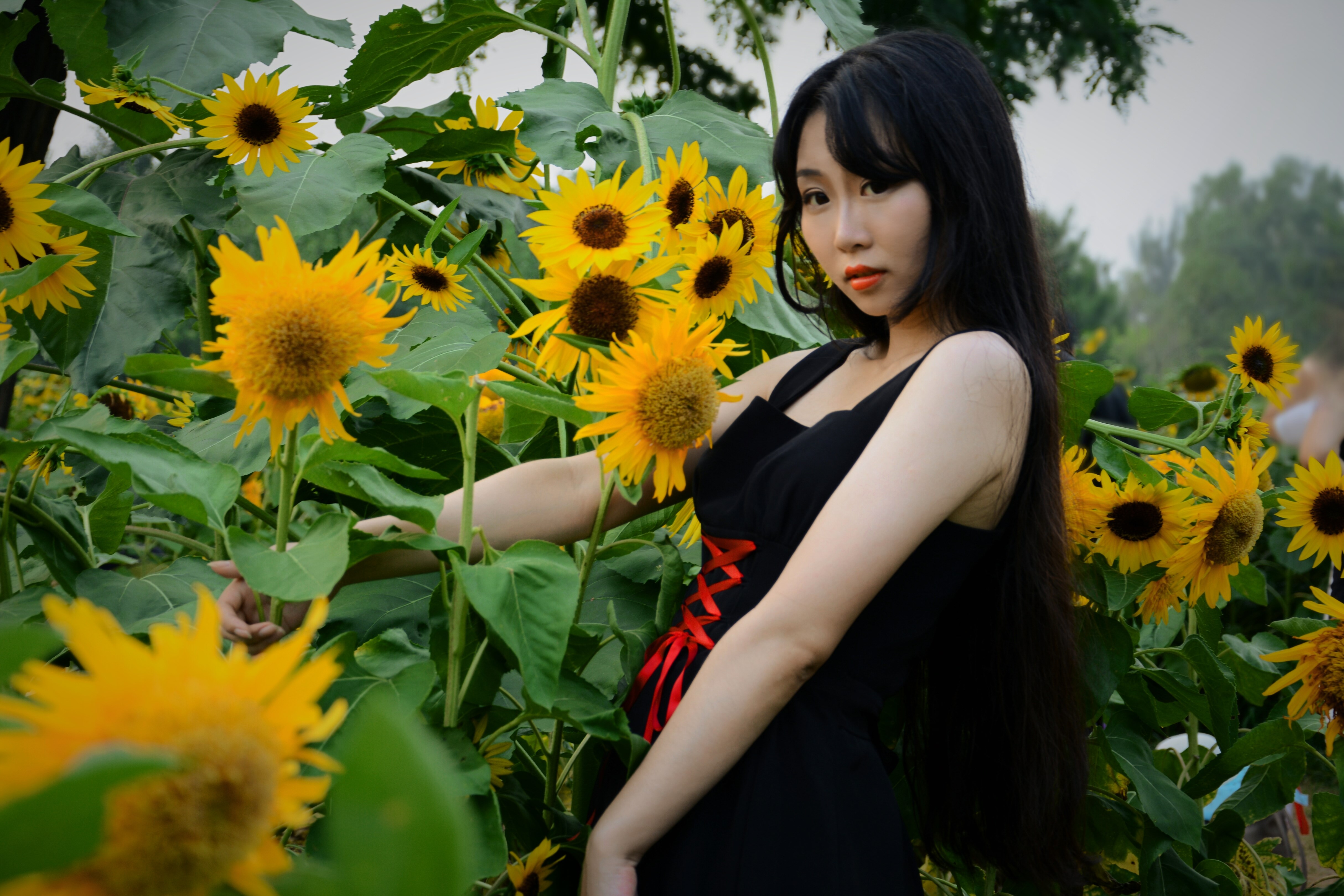 【lo娘驾到】可萝可御的芮芮安,不进来看看吗~(灬ω灬)