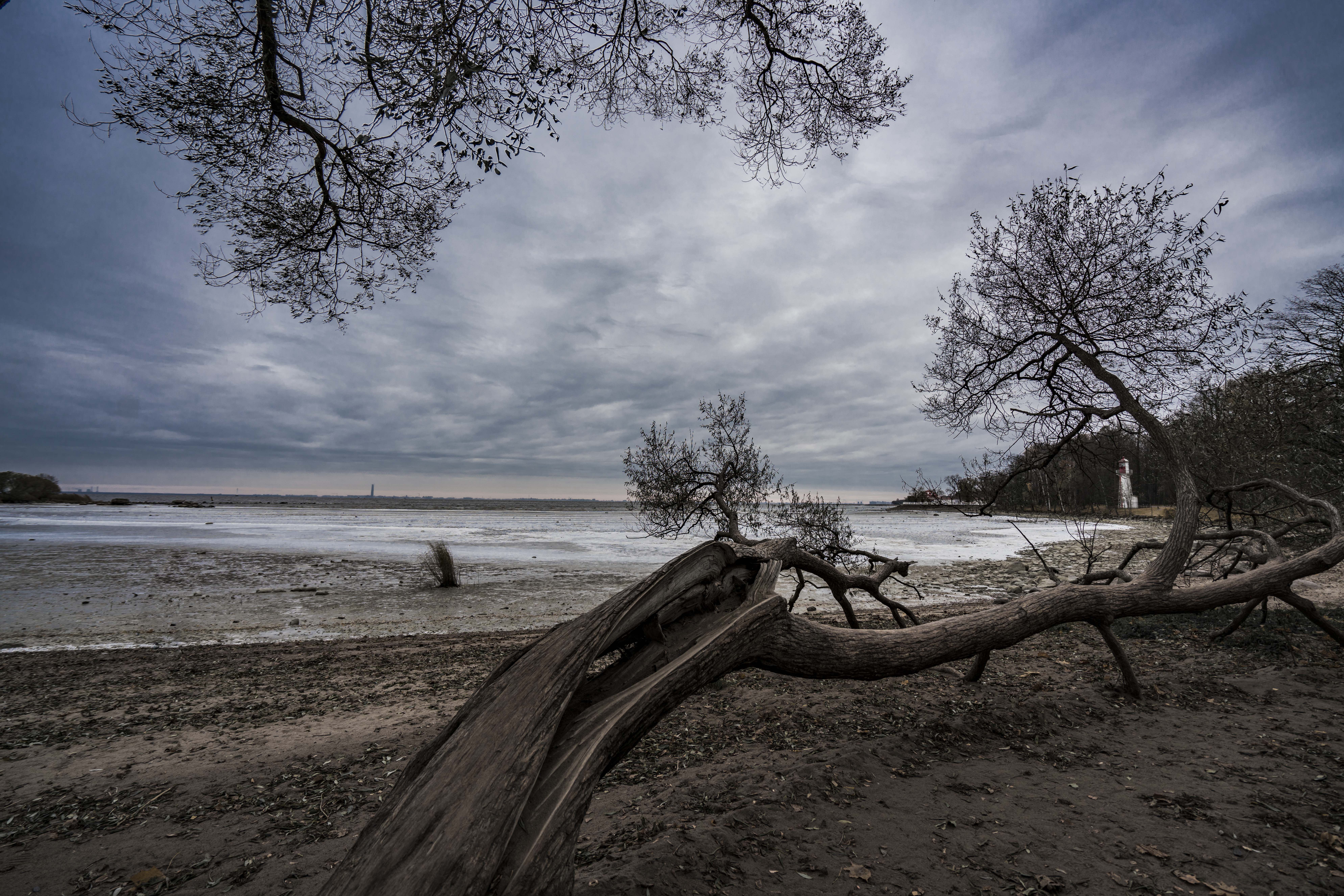 【秋意正凉】一个人蜗居在南山